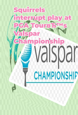 Valspar pga golf